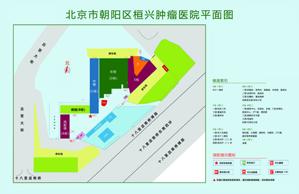 大鸡吧AV北京市朝阳区桓兴肿瘤医院平面图